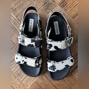 Steve Madden Mona Black & White Cow Print Sandals, great condition, worn once.